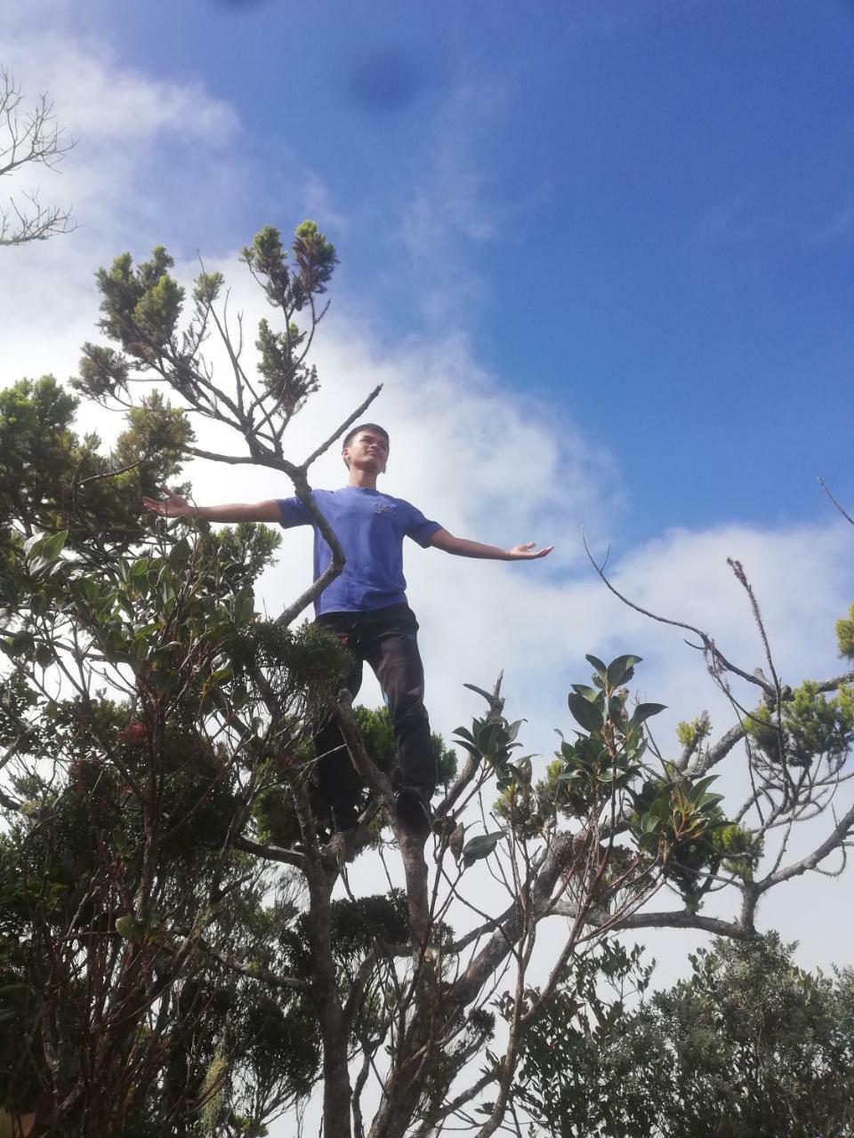 Strawberry Mesilou * Kundasang